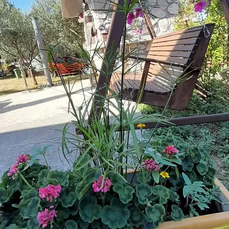 Zvjezdana Pirovac